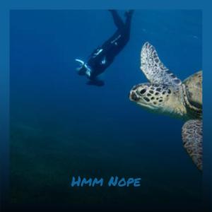 Listen to Sumer Reinvigoration song with lyrics from Wily Moto