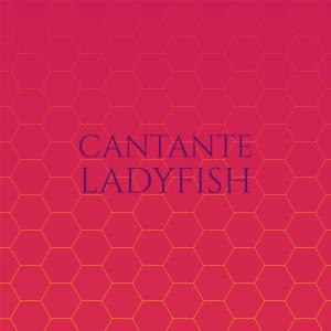 Listen to Takamatsu song with lyrics from Ivona Lice