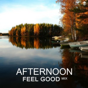 Various的专辑Afternoon Feel Good Mix