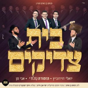 Listen to בית צדיקים song with lyrics from יואלי דוידוביץ