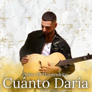 Listen to Cuánto Daría song with lyrics from Pedro el Flamenkito