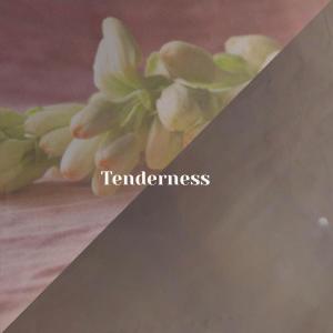 Album Tenderness from Various