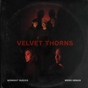 Velvet Thorns dari Midnight Quickie