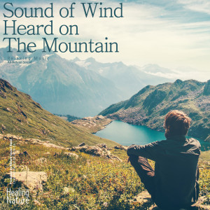 Listen to Sound of Wind Heard on The Mountain (ASMR, Sleep Music, Meditation Music) (ASMR|Sleep Music|Meditation Music) song with lyrics from 힐링 네이쳐 Nature Sound Band
