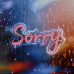 Listen to Sorry song with lyrics from 夏恒