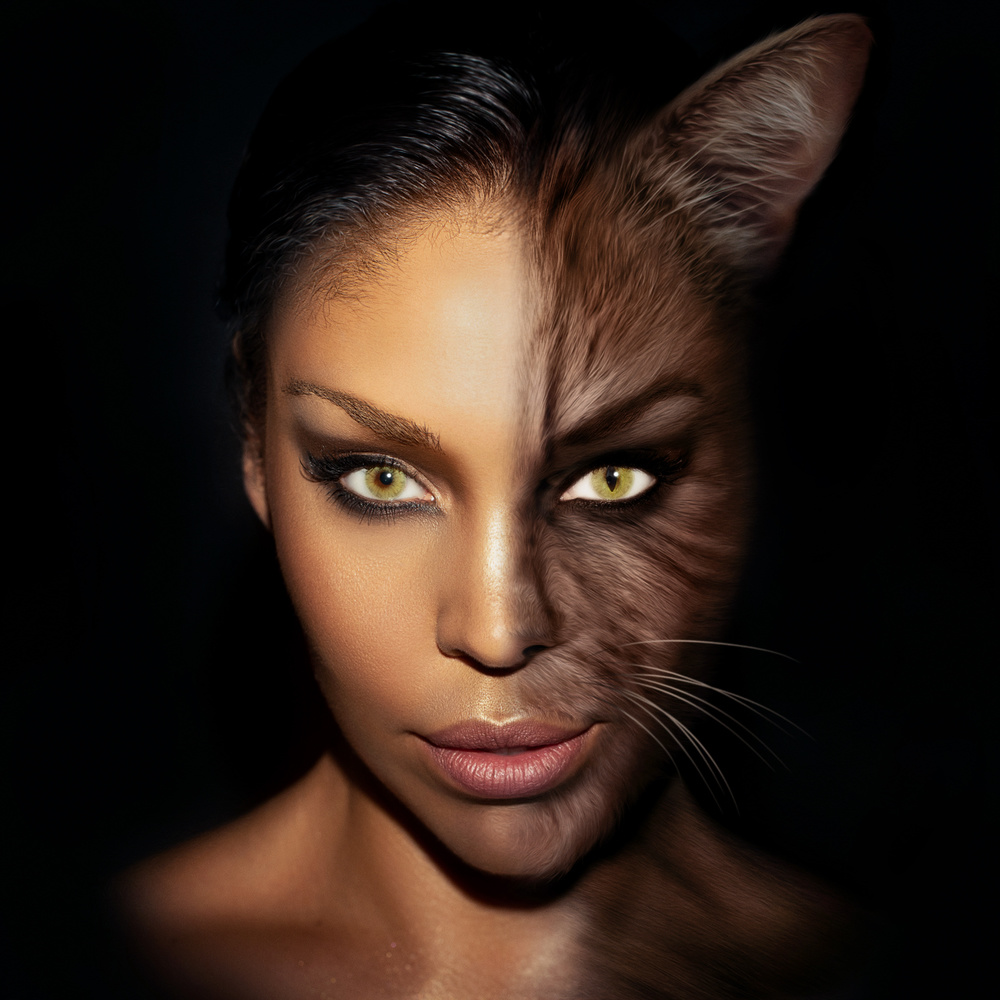 Cat and Mouse
