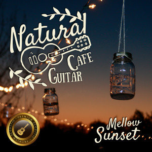 Dengarkan Guitar in the Sunset lagu dari Café Lounge Resort dengan lirik