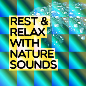 收聽Rest & Relax Nature Sounds Artists的Water over the Dam歌詞歌曲