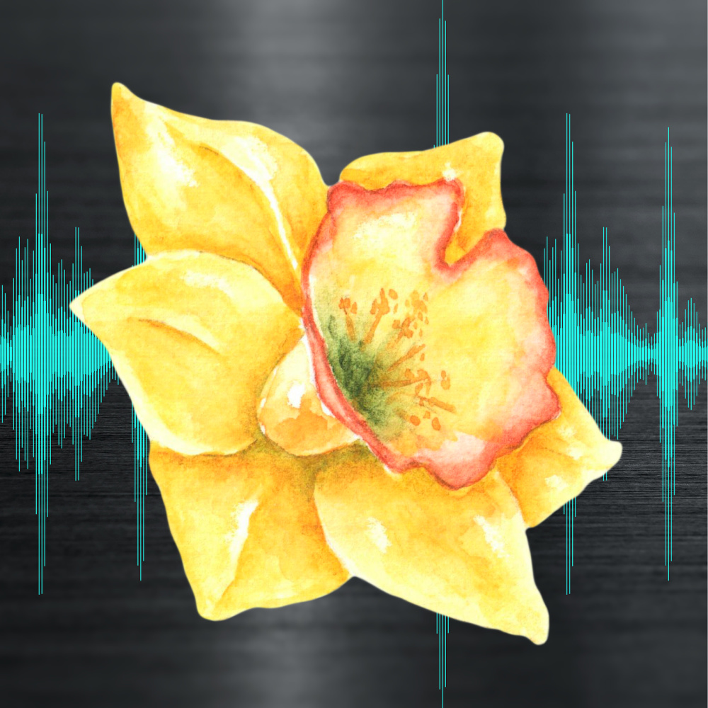 Echo Echo Narcissus! (Explicit)