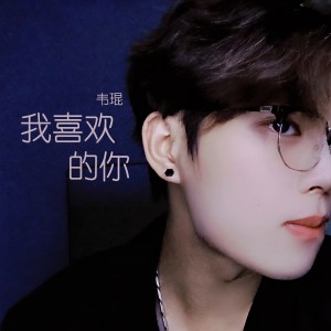 韦琨的专辑我喜欢的你