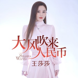 Album 大风吹来人民币 from 王莎莎