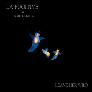 收听La Fugitive的Leave Her Wild歌词歌曲