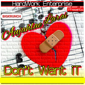Album Don't Want It oleh BIGKRUNCH