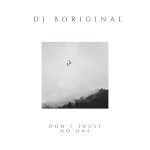 Album Don't Trust No One from dj boriginal
