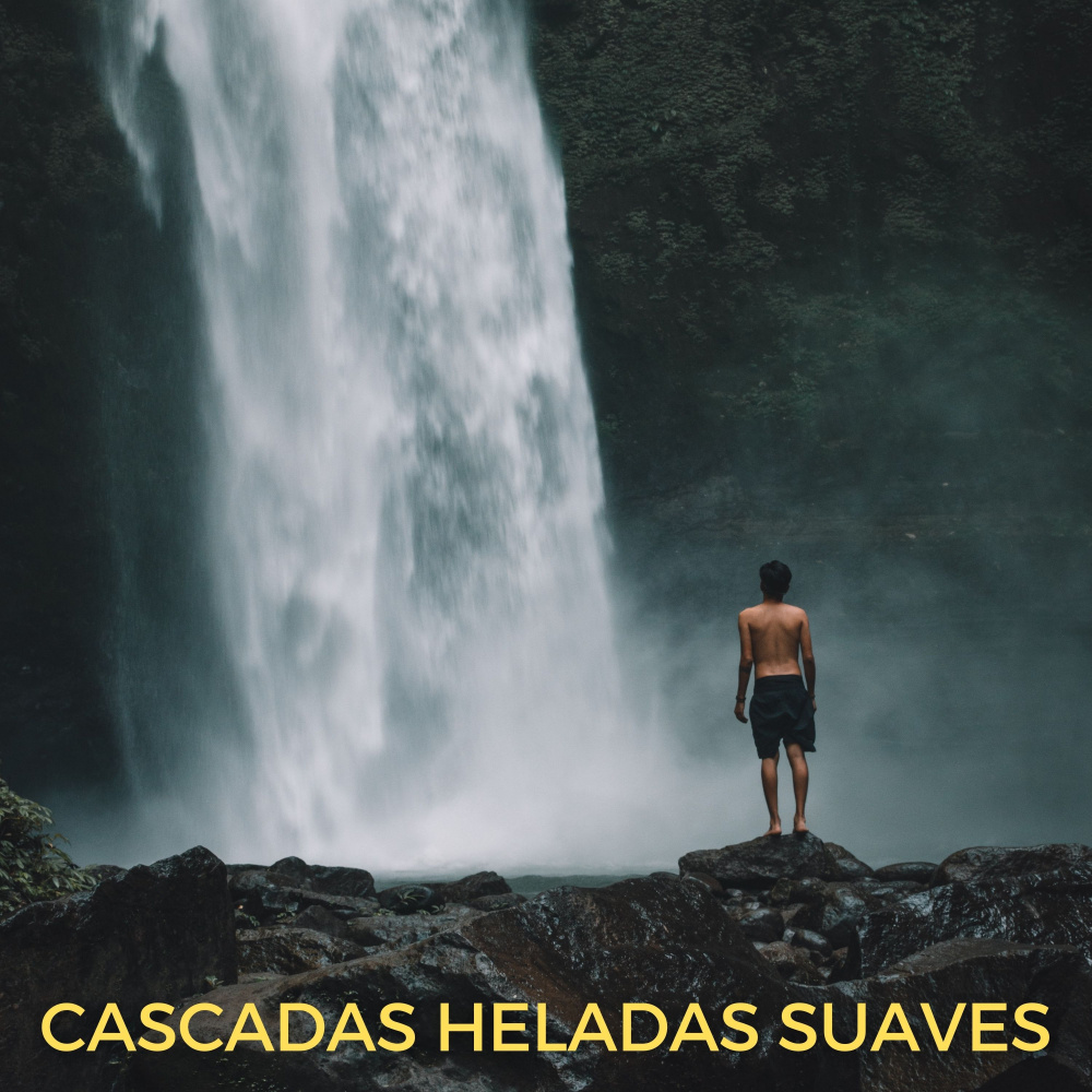 Canciones De Laguna