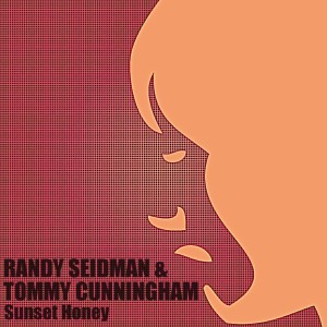 Listen to Dream Express (Original Mix) song with lyrics from Randy Seidman