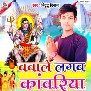 Album Bawale Lagab Kanwariya from 