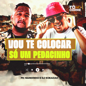 Mc Nandinho的專輯VOU TE COLOCAR SÓ UM PEDACINHO