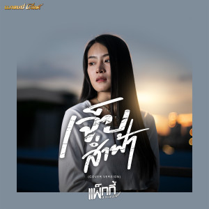 ดาวน์โหลดและฟังเพลง เจ็บส่ำฟ้า (Cover Version) พร้อมเนื้อเพลงจาก แพ็กกี้ สกลนรี