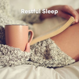 Album Restful Sleep from 