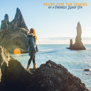 ดาวน์โหลดและฟังเพลง Relax Lounge พร้อมเนื้อเพลงจาก Spa Relaxing New Age Project