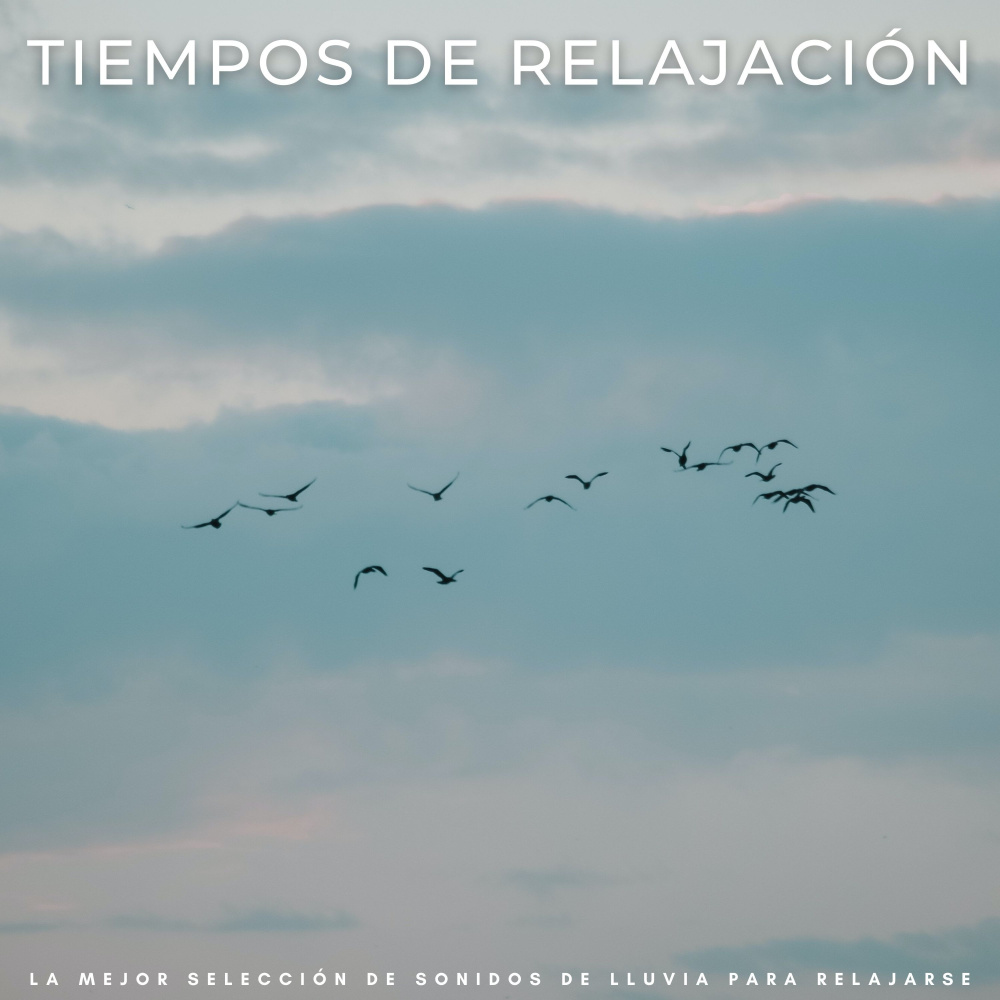 Cama Reconfortante