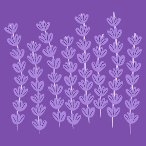Lawrence Walther的專輯Lavender