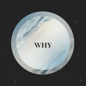 Trapoeta的專輯Why