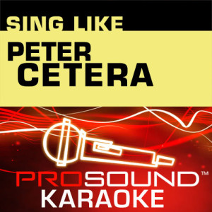 ดาวน์โหลดและฟังเพลง Hard To Say I'm Sorry  (Karaoke Lead Vocal Demo) [In the Style of Chicago] พร้อมเนื้อเพลงจาก ProSound Karaoke Band