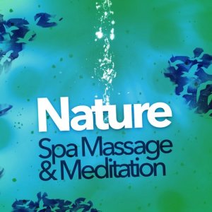 收聽Nature Spa Meditation Music的Summertime Brook歌詞歌曲