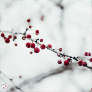 收聽Madilyn Bailey的All I Want for Christmas Is You歌詞歌曲