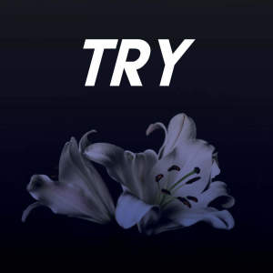 Dengarkan Try lagu dari Sassydee dengan lirik