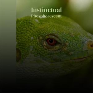 Listen to Brubeck Cai song with lyrics from Renso