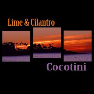 ดาวน์โหลดและฟังเพลง Sangria Del Presidio พร้อมเนื้อเพลงจาก Lime & Cilantro