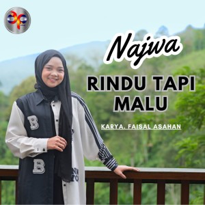 Najwa的专辑Rindu Tapi Malu