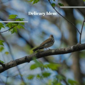 Listen to Utility Relaxing song with lyrics from Blago Rite