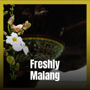 Various的专辑Freshly Malang