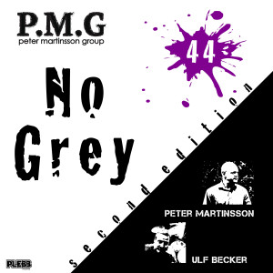 ดาวน์โหลดและฟังเพลง No Grey พร้อมเนื้อเพลงจาก Peter Martinsson Group