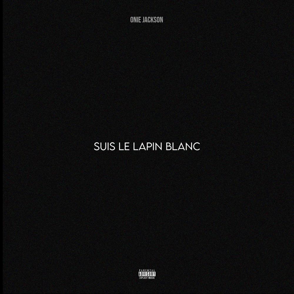 Suis le lapin blanc