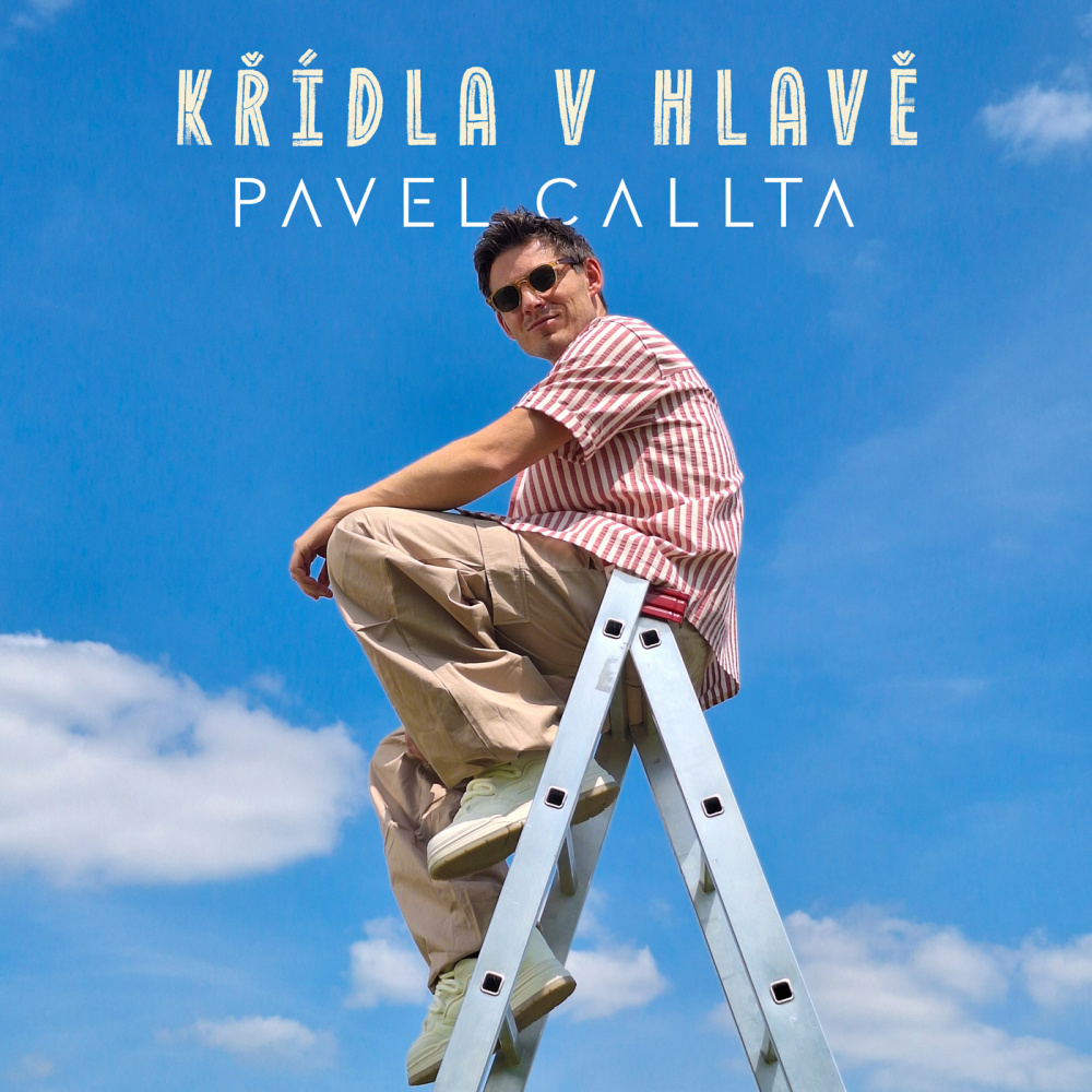 KŘÍDLA V HLAVĚ