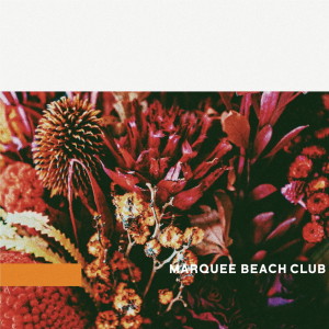 อัลบัม home (New K Remix) ศิลปิน MARQUEE BEACH CLUB