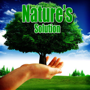 ดาวน์โหลดและฟังเพลง Grace and Wonder with the Sound of Tranquil Lakeside Waves พร้อมเนื้อเพลงจาก Nature Sounds Nature Music