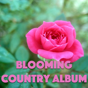 Listen to I'm Going Away In The Morn song with lyrics from Uncle Dave MacOn