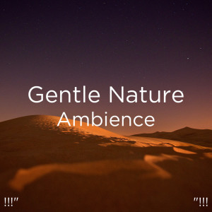 Album !!!" Gentle Nature Ambience "!!! from 