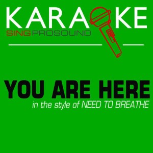 收聽ProSound Karaoke Band的You Are Here (In the Style of Need to Breathe) [Karaoke with Background Vocal] (伴奏)歌詞歌曲