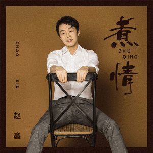 Listen to 煮情 (伴奏) song with lyrics from 赵鑫
