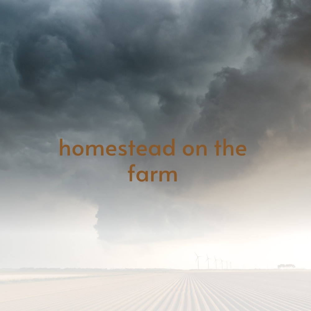 Homestead on the Farm