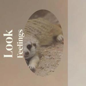 收听Arth Arole的Look Feelings歌词歌曲