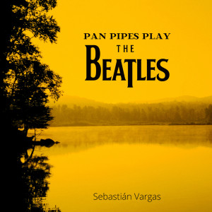 ดาวน์โหลดและฟังเพลง Free as a Bird พร้อมเนื้อเพลงจาก Sebastian Vargas