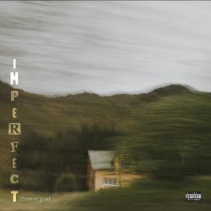 Difrnt的專輯Imperfect (freestyle)
